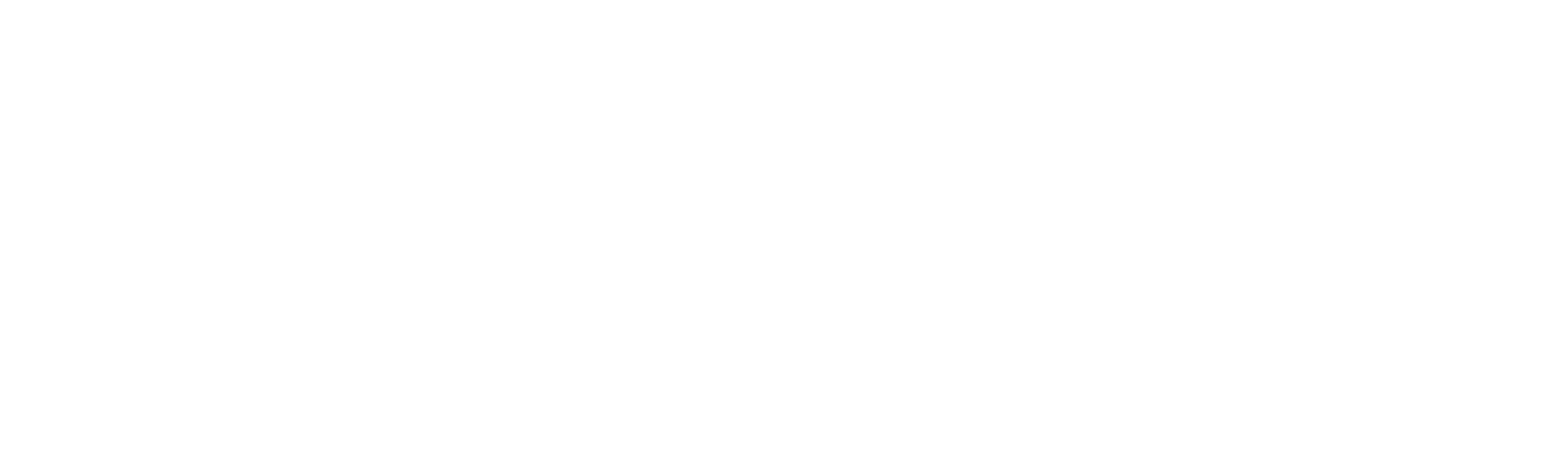 NA PRATICA_BRAND_Logo_white-4.png